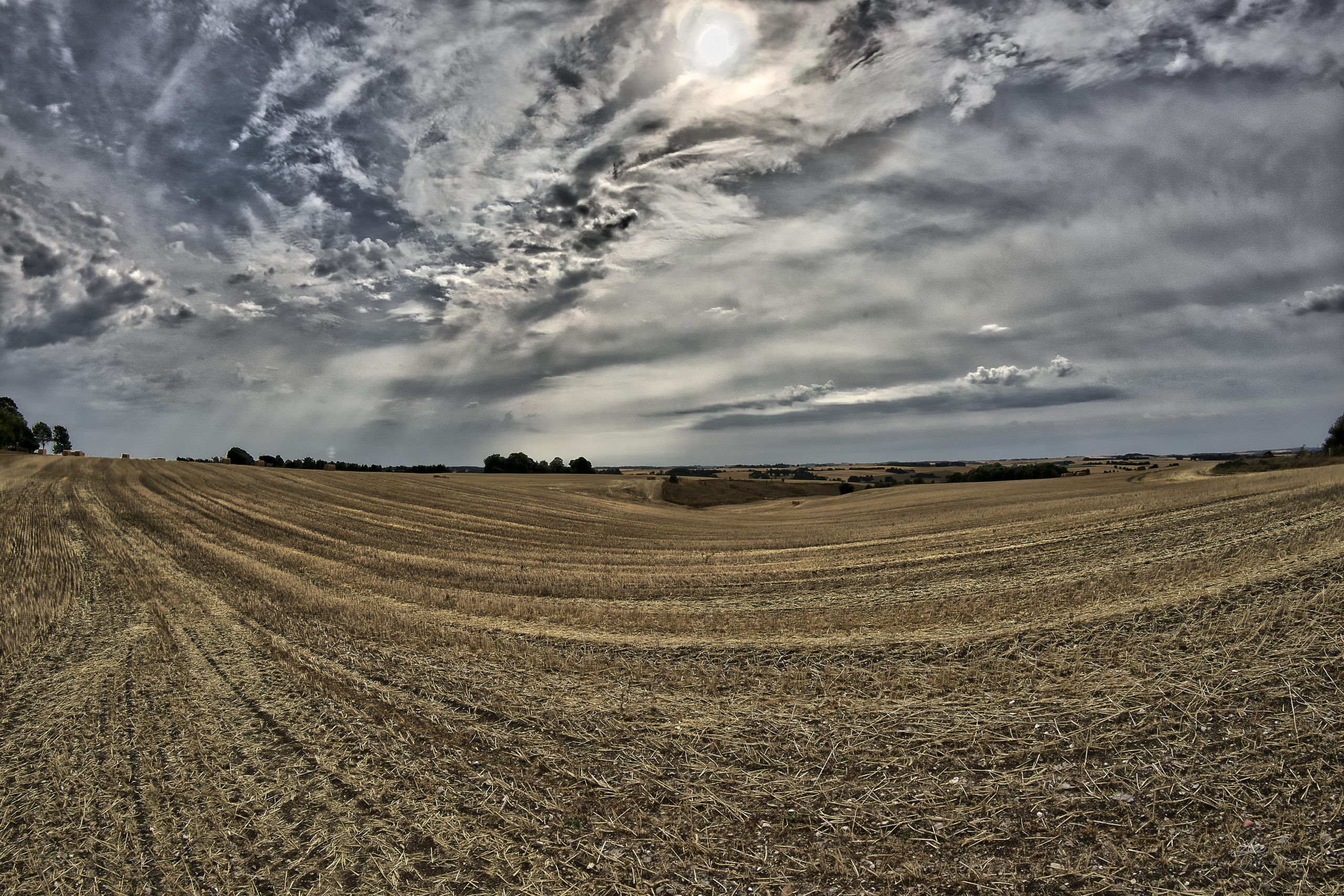Wheat fields, 212/365, Uge 31, Sønderhede, Lime, Randers- Samyang 12mm/F2.8 Fisheye